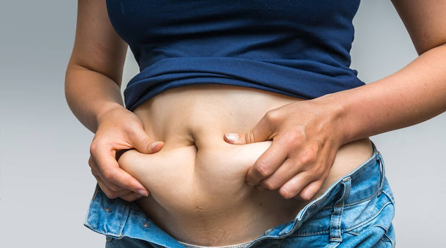 wellhealthorganic.com:belly-fat-9-best-ayurvedic-remedies-to-reduce-belly-fat