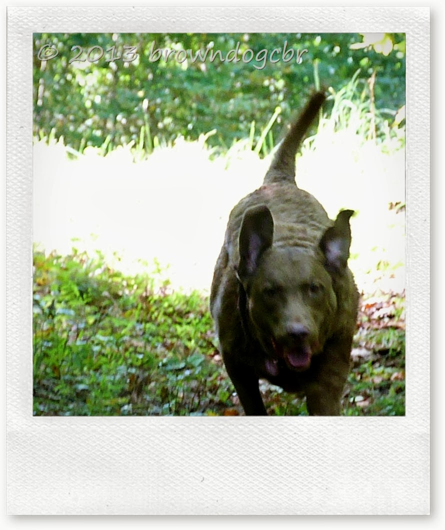 P1270702