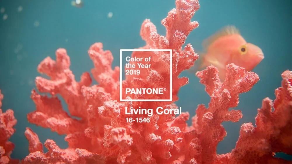 Pantone Living Coral 