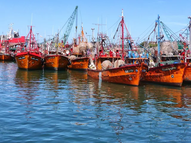 Puerto de Mar del PLata