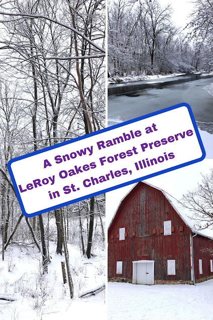 A Snowy Ramble at LeRoy Oakes Forest Preserve in St. Charles, Illinois