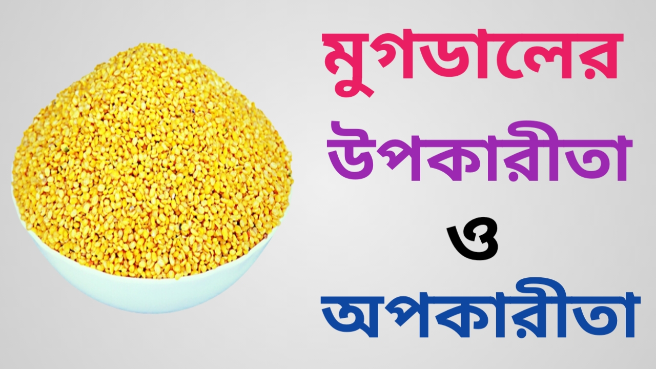 মুগ-ডালের-উপকারিতা-ও-অপকারিতা-উপকারিতা-ও-অপকারিতা-ও-অপকারিতা,মুগ-ডালের-উপকারিতা,মুগ-ডাল-উপকারিতা,মুগ-ডালের-ক্ষতিকর-দিক,মুগ-ডালের-অপকারিতা,মুগ ডালের পুষ্টিগুণ,কাঁচা মুগ ডালের উপকারিতা,মুগ ডাল দাম,