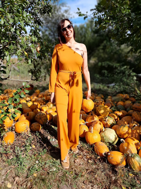 https://femmeluxe.co.uk/mustard-belted-one-shoulder-jumpsuit-evelyn