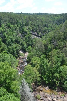 View of the Gorge, from the top of the Dam