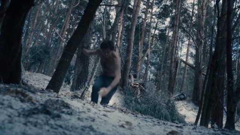 Scene Wolverine in a snowed forest