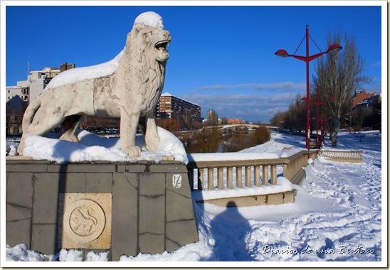 Nieve-6648