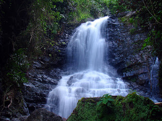 Buff Bay Valley, Portland Jamaica