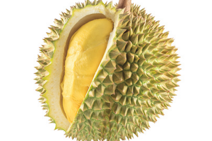 Buah Durian Apa Benar Bisa Mengakibatkan Darah Tinggi