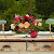 Styled Shoot | Pomegranate + Snow