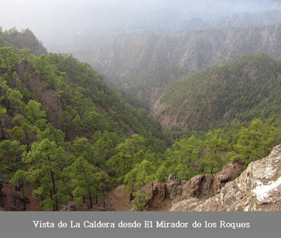 LA CUMBRECITA - LOMO DE LAS CHOZAS (PARQUE NACIONAL DE LA CALDERA DE TABURIENTE - ISLA DE LA PALMA - ISLAS CANARIAS)