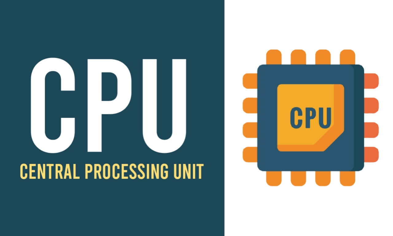 Key Facts About the Central Processing Unit (CPU)