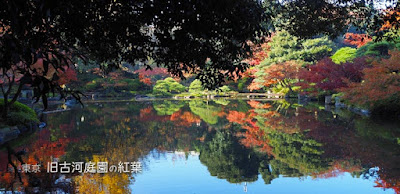 旧古河庭園の紅葉