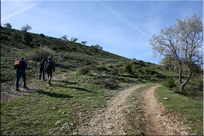 Dejamos la pista