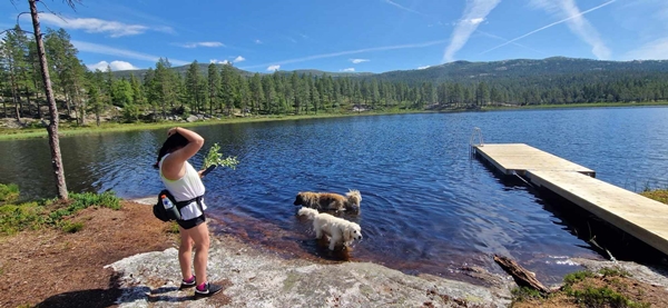 hallingdal flå turufjell stolpejakt