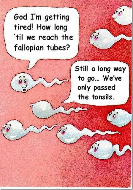Funny pix (19)