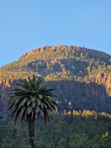 10 imágenes de Vilaflor de Chasna