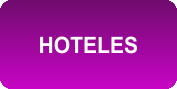  EMPRESA CATEGORÍA HOTELES