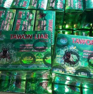 Tawon Liar Kapsul Obat Asam Urat | Kolesterol | Pegal linu 