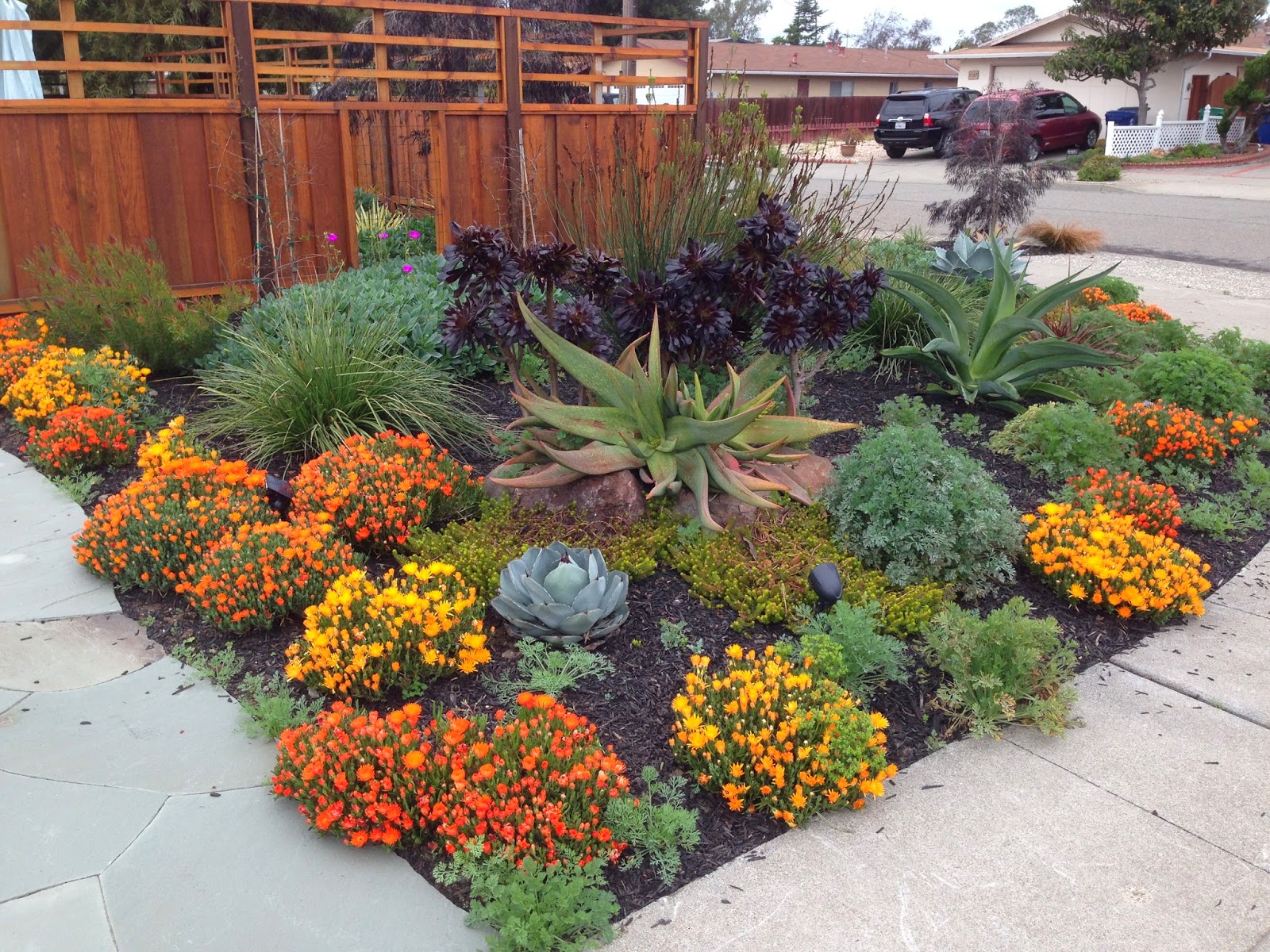 Farallon Gardens: Alameda Drought Tolerant Garden ...