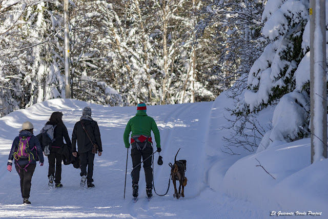 Paseando por el Winter Trail Tromsø - Noruega, por El Guisante Verde Project