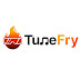 TuneFry: Best Music Distribution Services