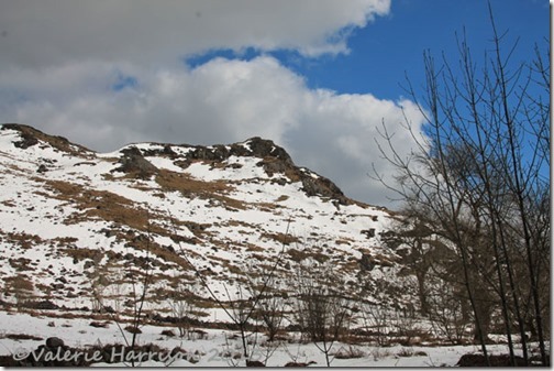 4-Galloway-Forest-Park