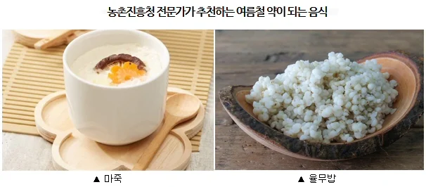 입맛이 떨어지고 소화가 안 되는 여름철, ‘율무밥’과 ‘마죽’ 추천