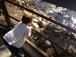 toddler at the franklin cider mill