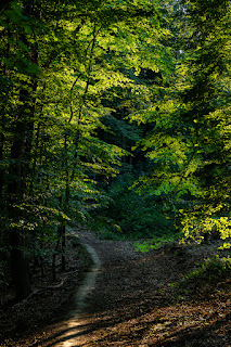 Naturfotografie Weserbergland Aerzen Olaf Kerber