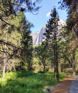 Sunday morning view, Yosemite National Park