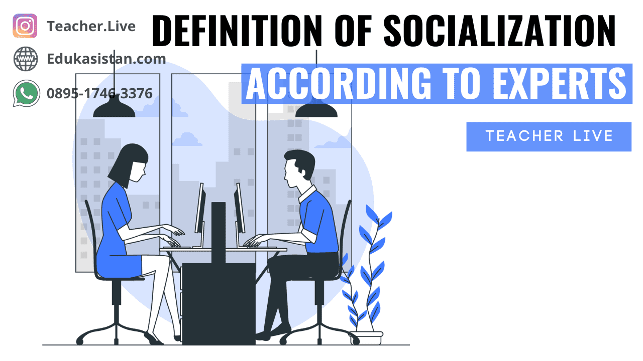 Definition of Socialization