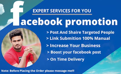 I will do Facebook promotion and grow up your business