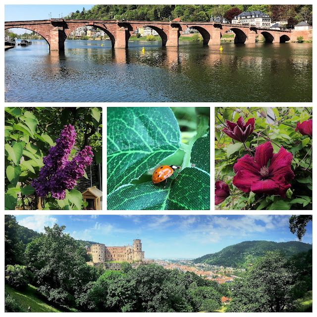 Summer in Heidelberg