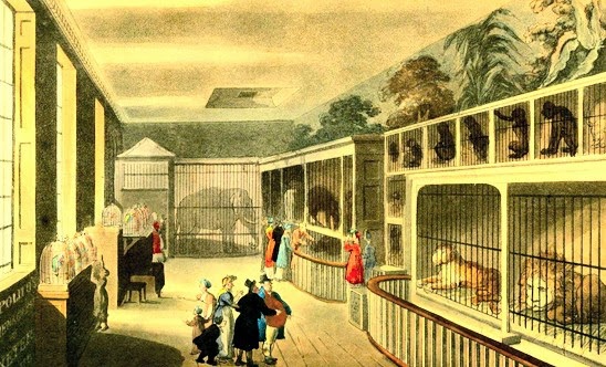 Regency History: The Royal Menagerie at the Exeter Exchange