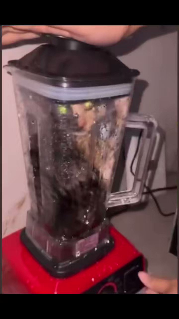 Cat blender video