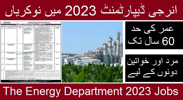 Energy Department 2023 Jobs Government oF Punjab