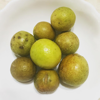   dayap, dayap vs calamansi, dayap philippines, uses of dayap, dayap tree, where to buy dayap in manila, dayap in bisaya, dayap in tagalog, dayap for sale philippines