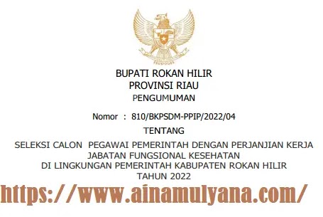 Rincian Penetapan Kebutuhan atau Formasi ASN PPPK Kabupaten Rokan Hilr Provinsi Riau Tahun 2022