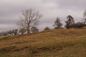 Long Meg and her daughters stone circle circular walk