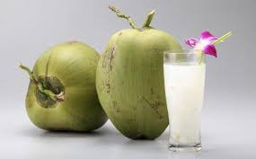 kelapa hijau