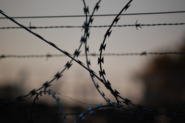In 1873, American Joseph Glidden received a patent for barbed wire