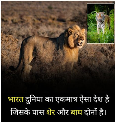 21 Amazing facts in Hindi 2022 - रोचक तथ्य about animals