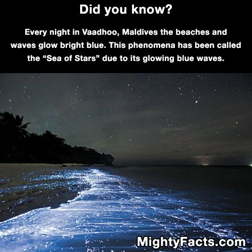 Amazing and Weird Facts