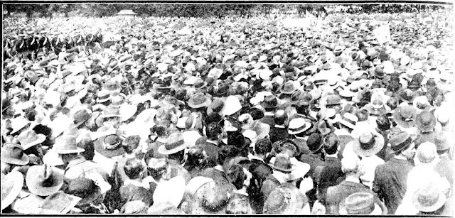 Snapshots of Street Scenes in Sydney Following the Official News of the Armistice - November 1918 - Section of the Great Crowd in the Domain