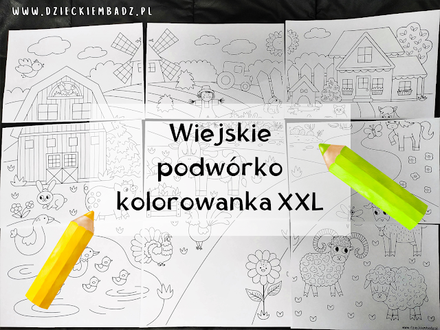 zwierzęta na wsi kolorowanka