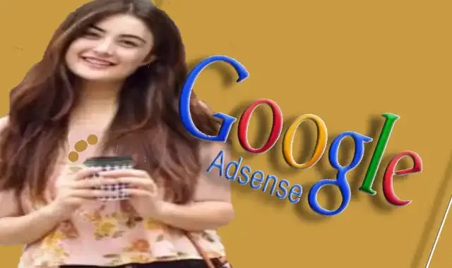 الدليل الشامل في كيفية الربح من جوجل ادسنس profit adsense