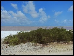 IMG_5026