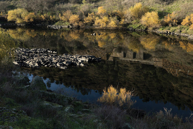 Museu da Paisagem