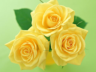 Yellow Flowers wallpaper