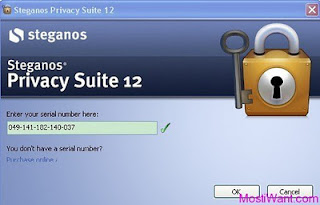 Steganos Privacy Suite 12 Free Serial Number